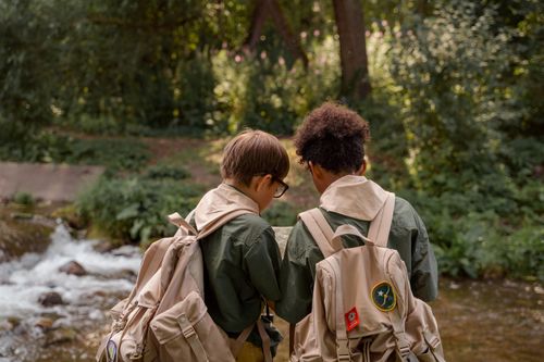 Eagle scouts